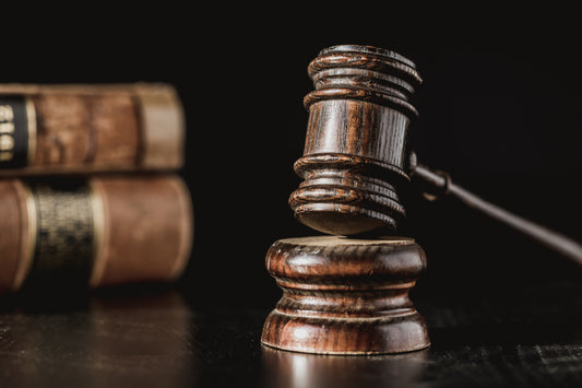 Legal Interpreter